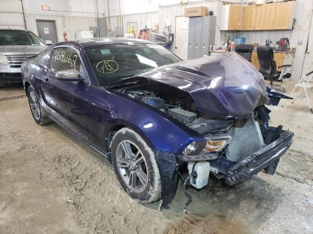 1ZVBP8AN2A5140727-2010-ford-mustang