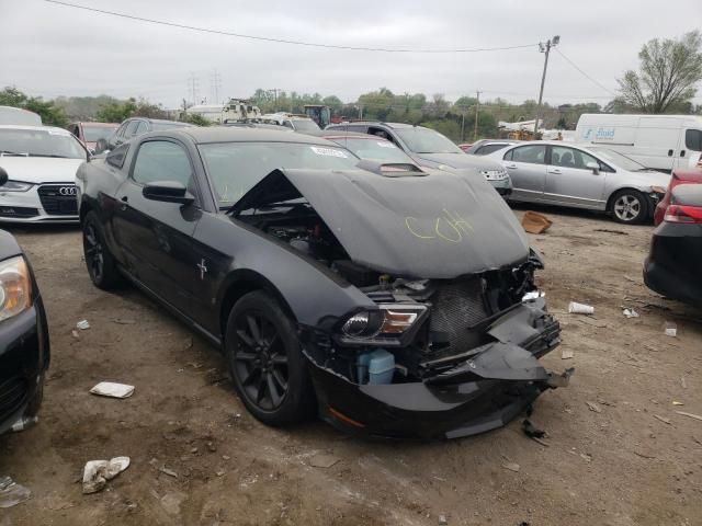 1ZVBP8AN0A5143285-2010-ford-mustang
