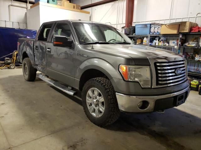 1FTEW1E81AFB56474-2010-ford-f-150