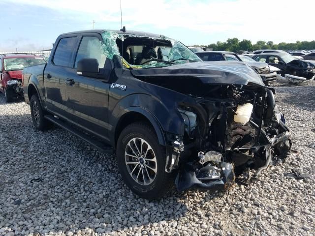1FTEW1EP5KFC06396-2019-ford-f-150